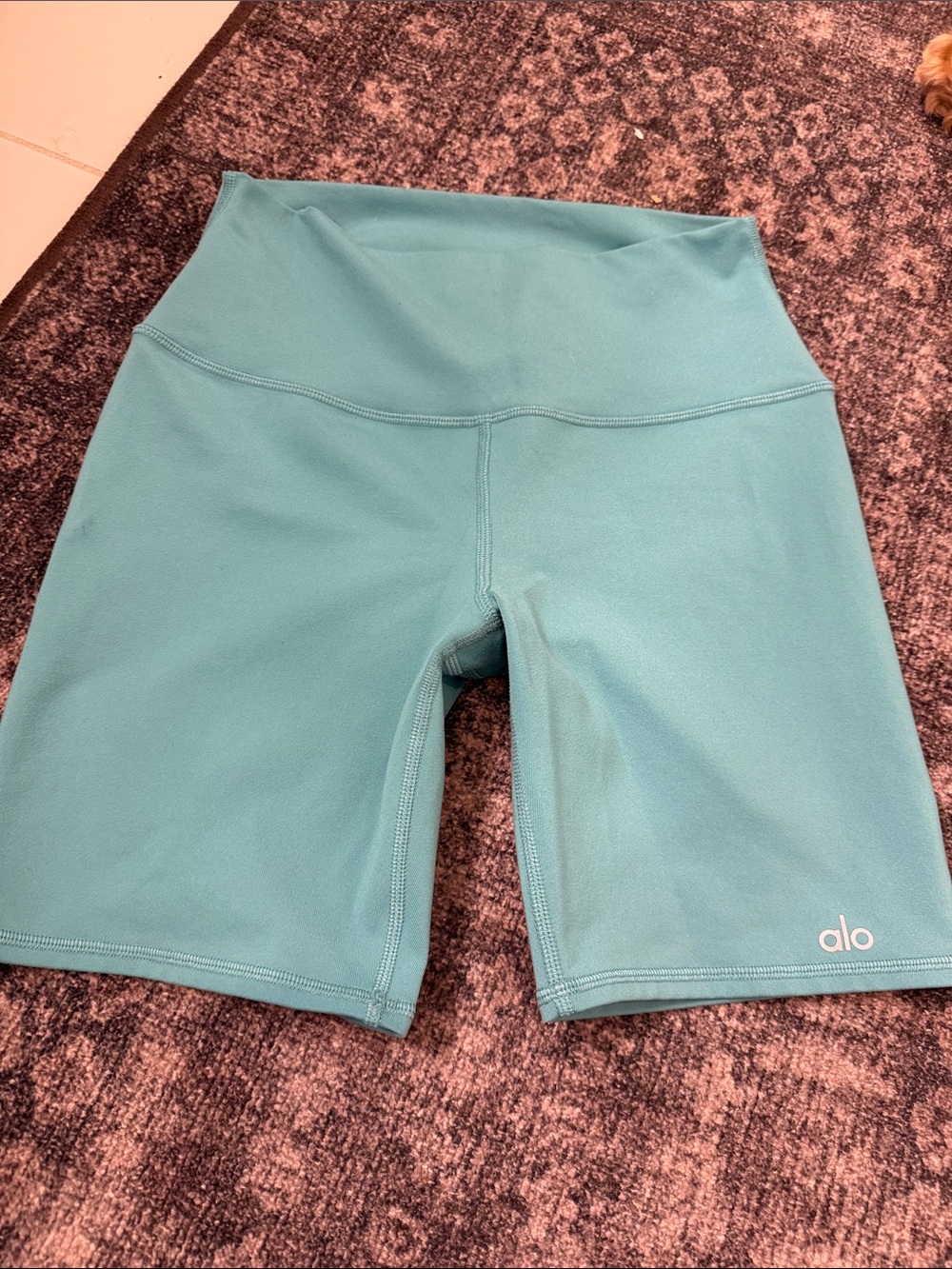 ALO Yoga High-Rise Aqua Bike Shorts
